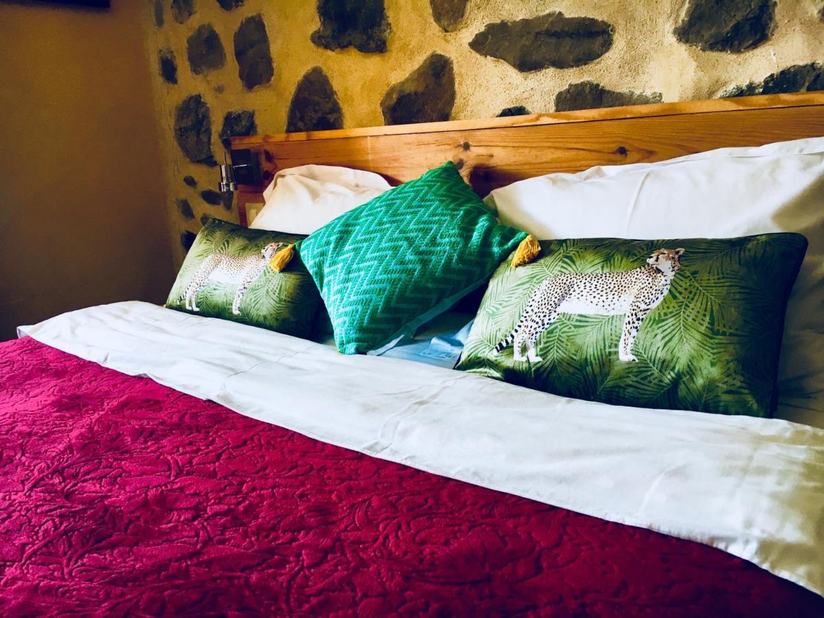 Chambre D'Hotes La Grange Des Ecrins Chabottes Exteriör bild